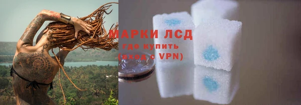 spice Верхний Тагил