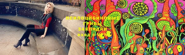spice Верхний Тагил