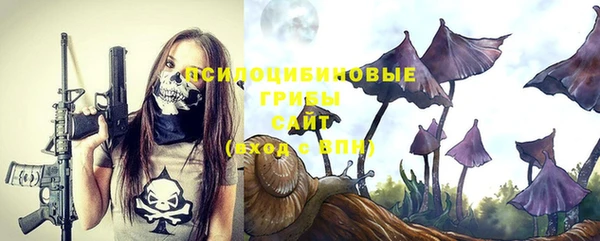 spice Верхний Тагил