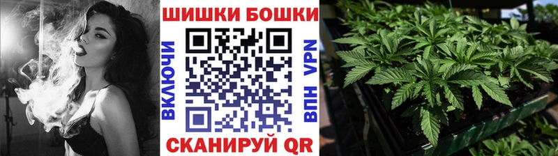 shop телеграм  mega ссылка  Зерноград  Марихуана LSD WEED 